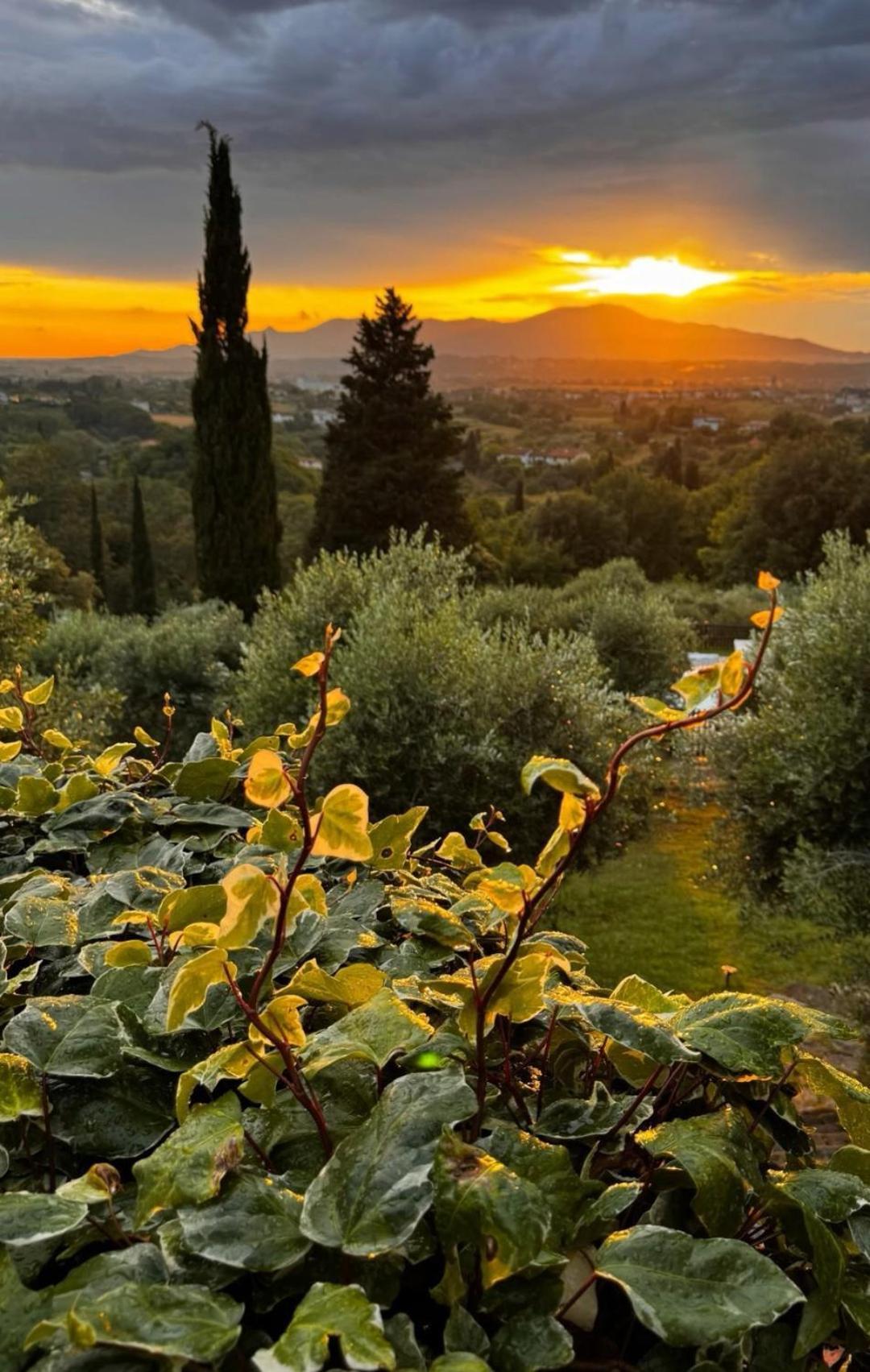 Agriturismo Cascina Cipressa San Romano  Екстериор снимка