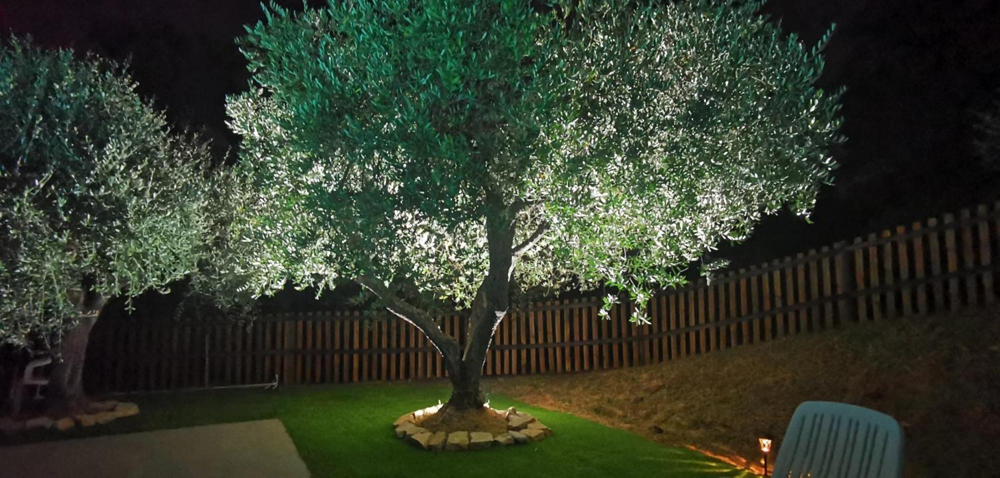 Agriturismo Cascina Cipressa San Romano  Екстериор снимка