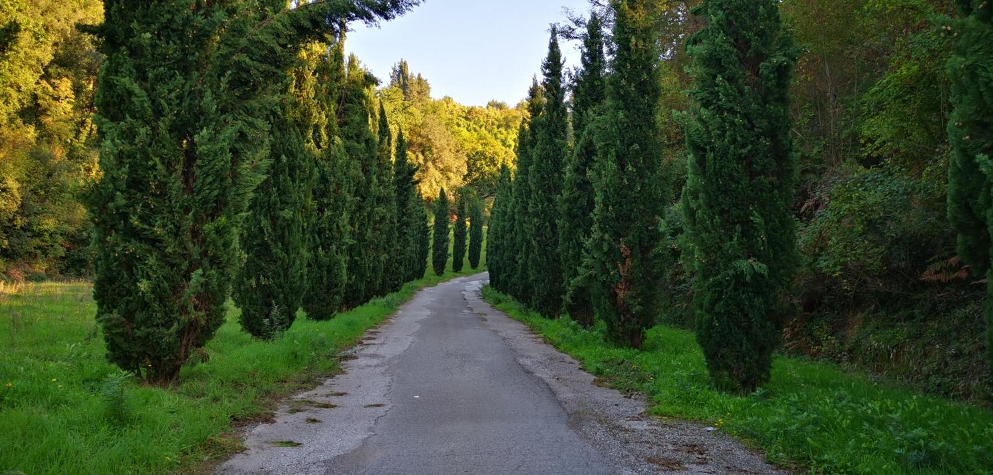 Agriturismo Cascina Cipressa San Romano  Екстериор снимка